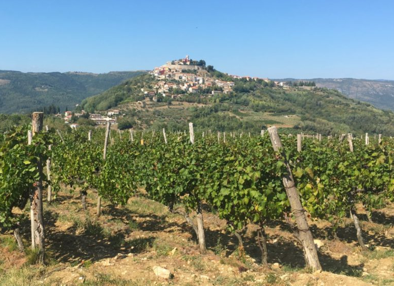 Falling in love with Malvasia (and truffles)