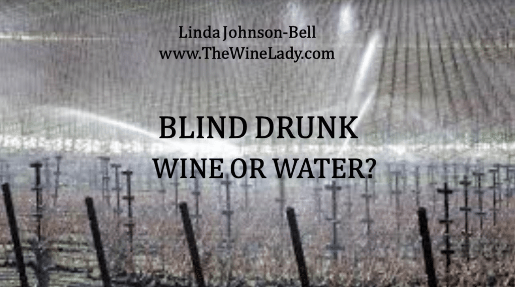 Blind Drunk – Wine or Water? Linda Johnson-Bell launches Indigogo campaign