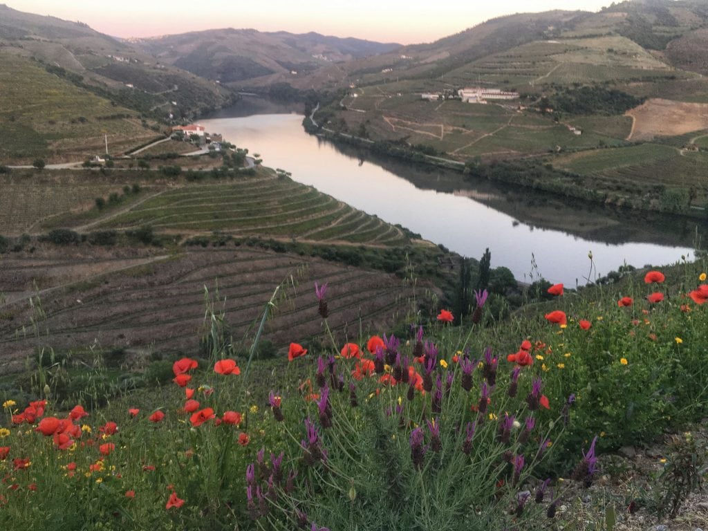 Discovering the new Douro