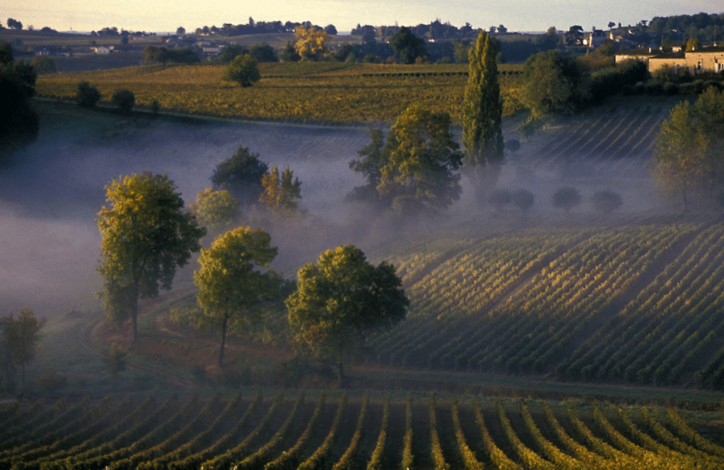 Uncovering the sweet spots of Bordeaux