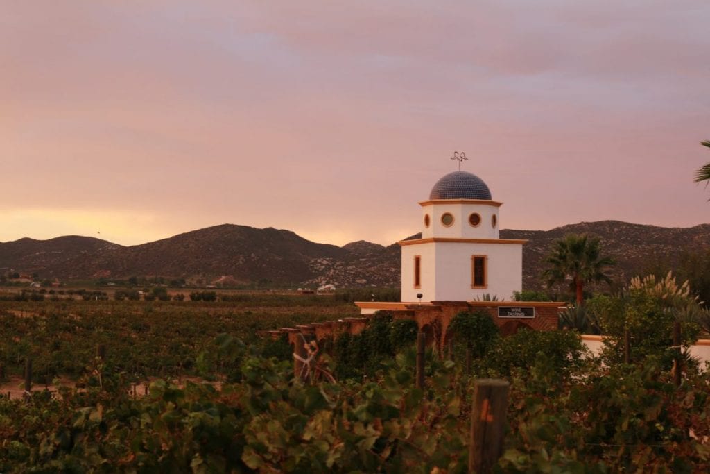 Salivating over Mexican wine country