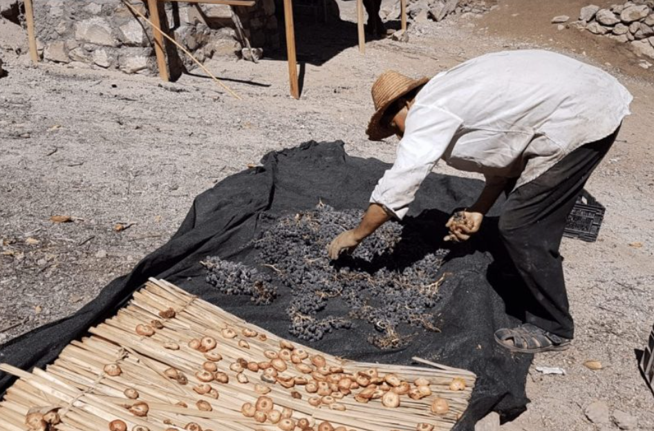Rediscovering Atacama traditions