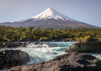 Wines of Chile tasting