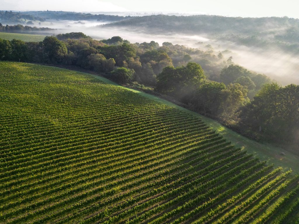 Leonardslee Family Estates launch and Defined Wine tasting