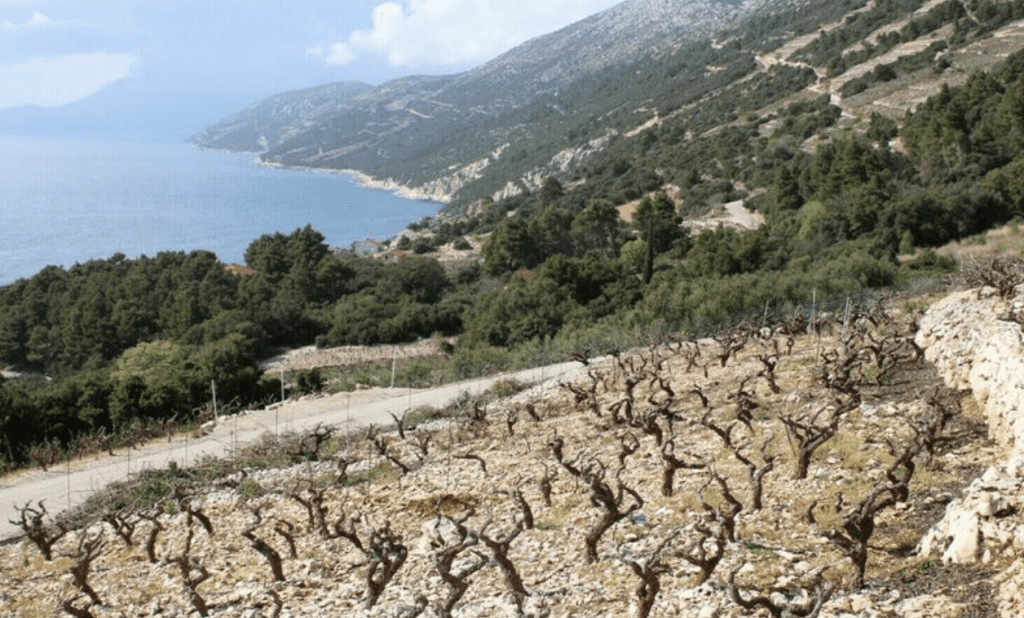 Down dramatic Dalmatia way